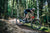 一脈相承 － BMC 推出全新 Fourstroke 系列山地車