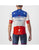 CASTELLI QUICK STEP TEAM COMPETIZIONE JERSEY FRENCH CHAMPIONN
