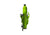 Forbidden Druid AM Frameset New Growth Green (Fox DPX2 shock)